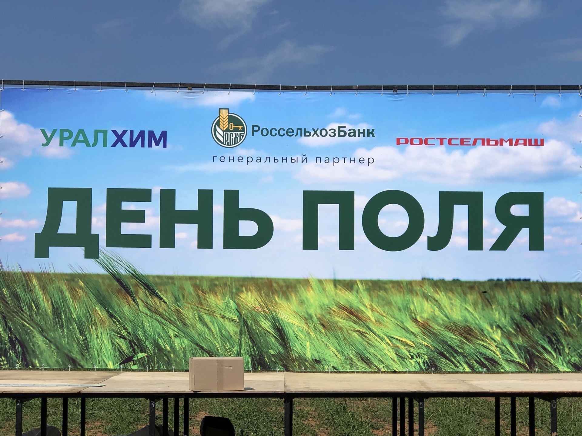 День Поля 2021