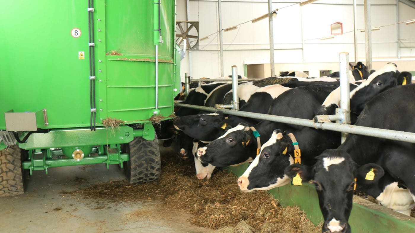 OptiFEED DUO 2000